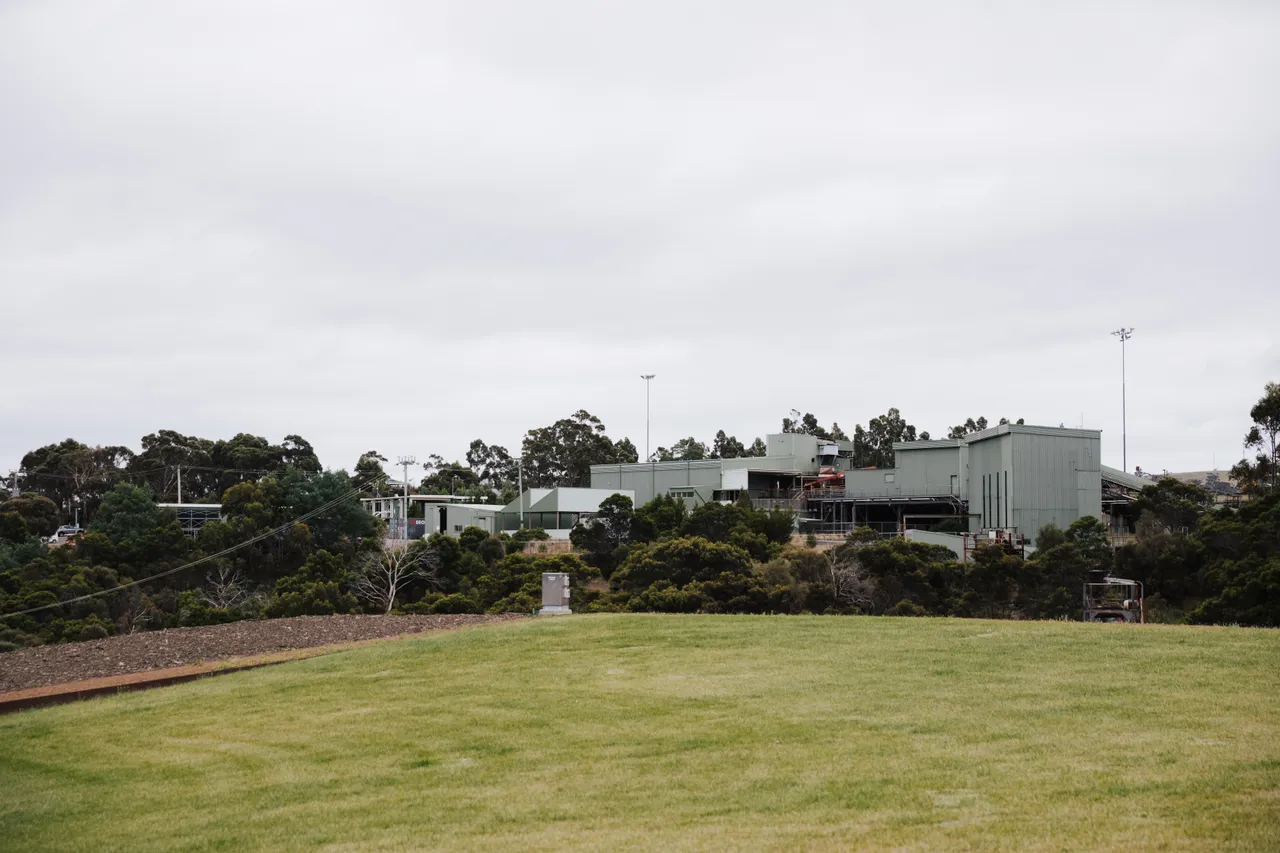 Spring Bay Mill 