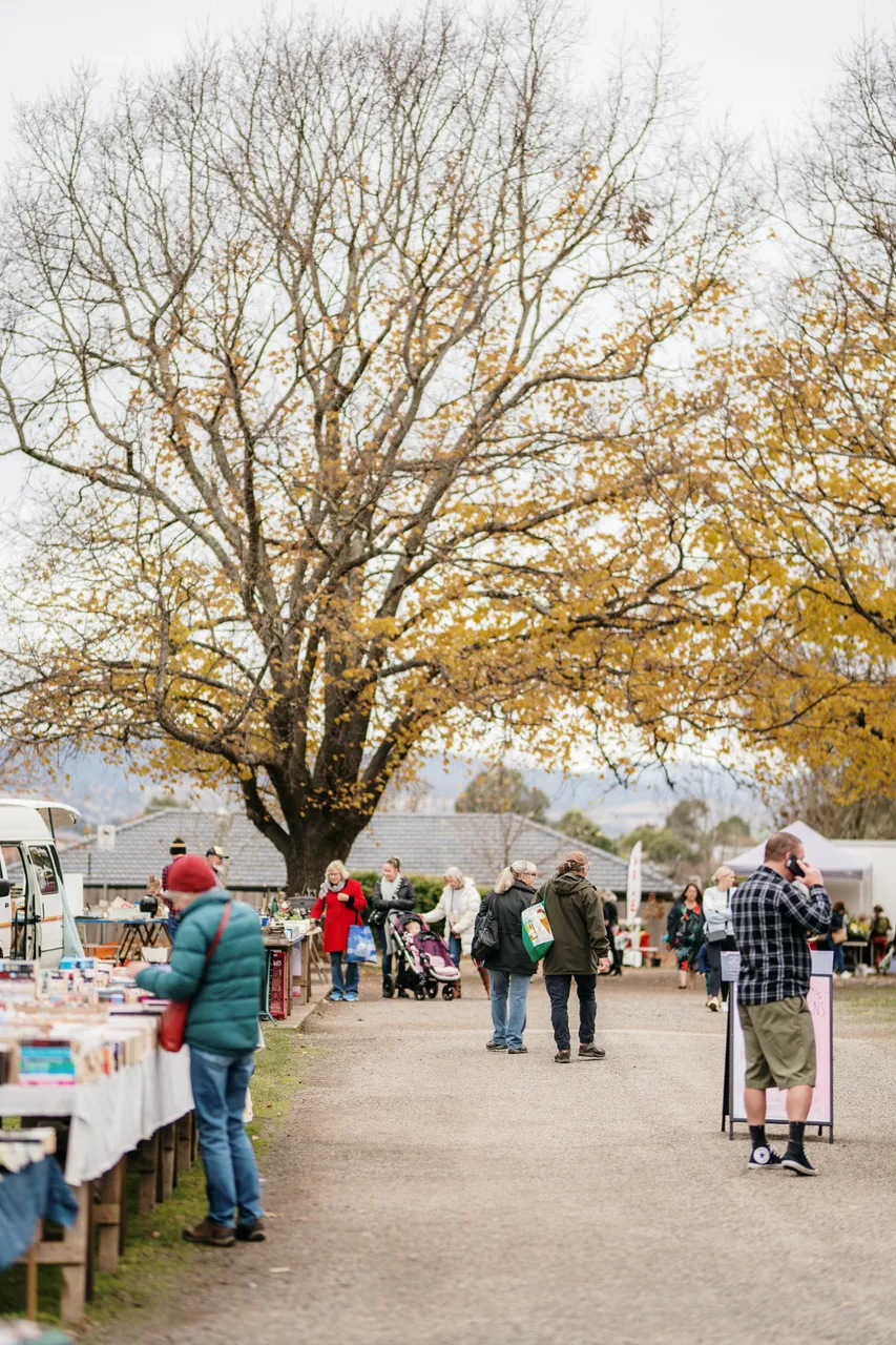 Evandale Market
