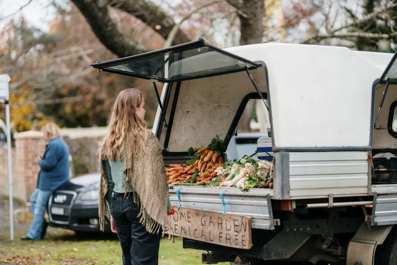 Evandale Market