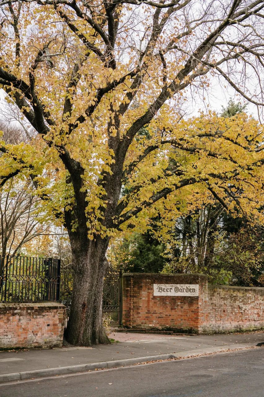 Evandale Streetscape