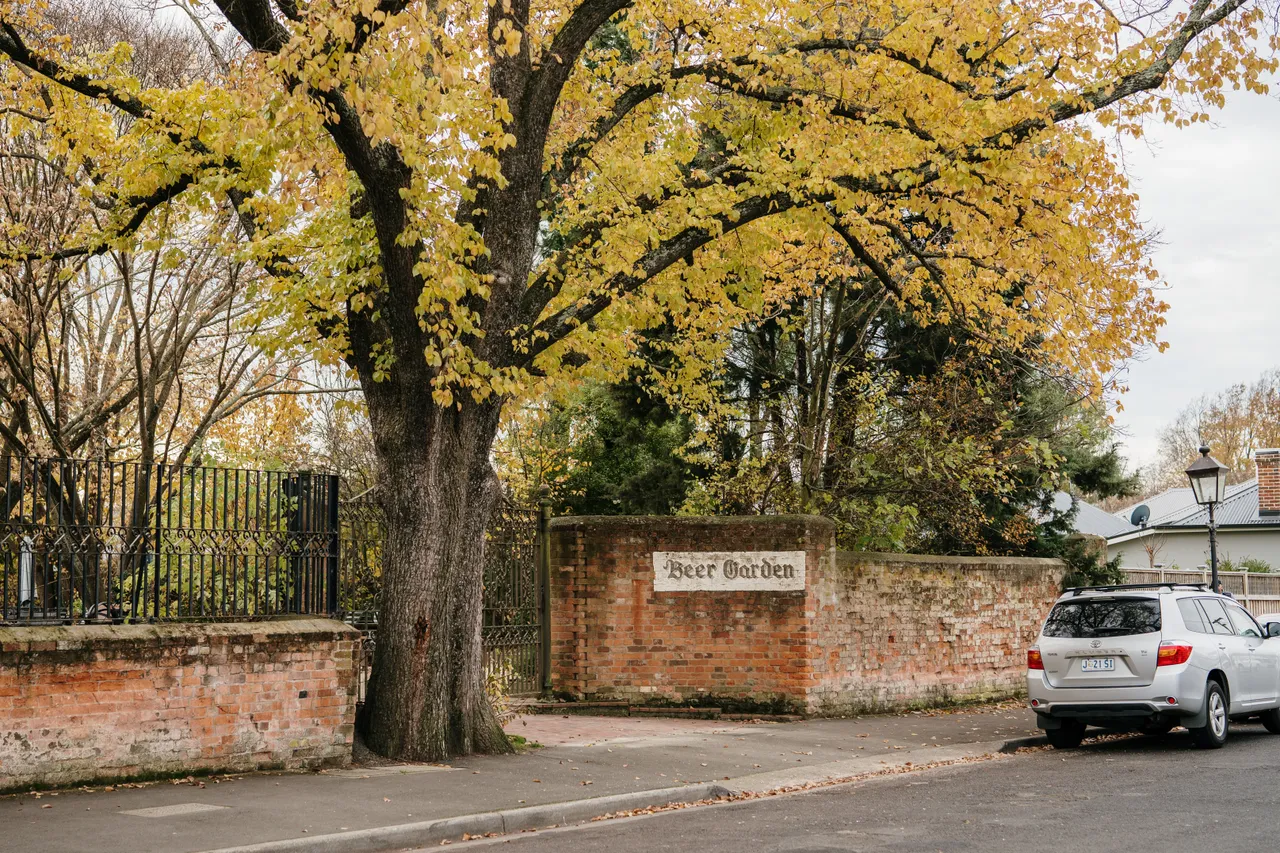 Evandale Streetscape