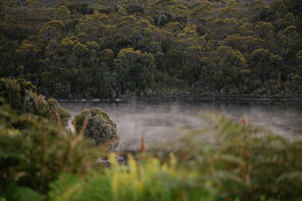 Lake Pedder