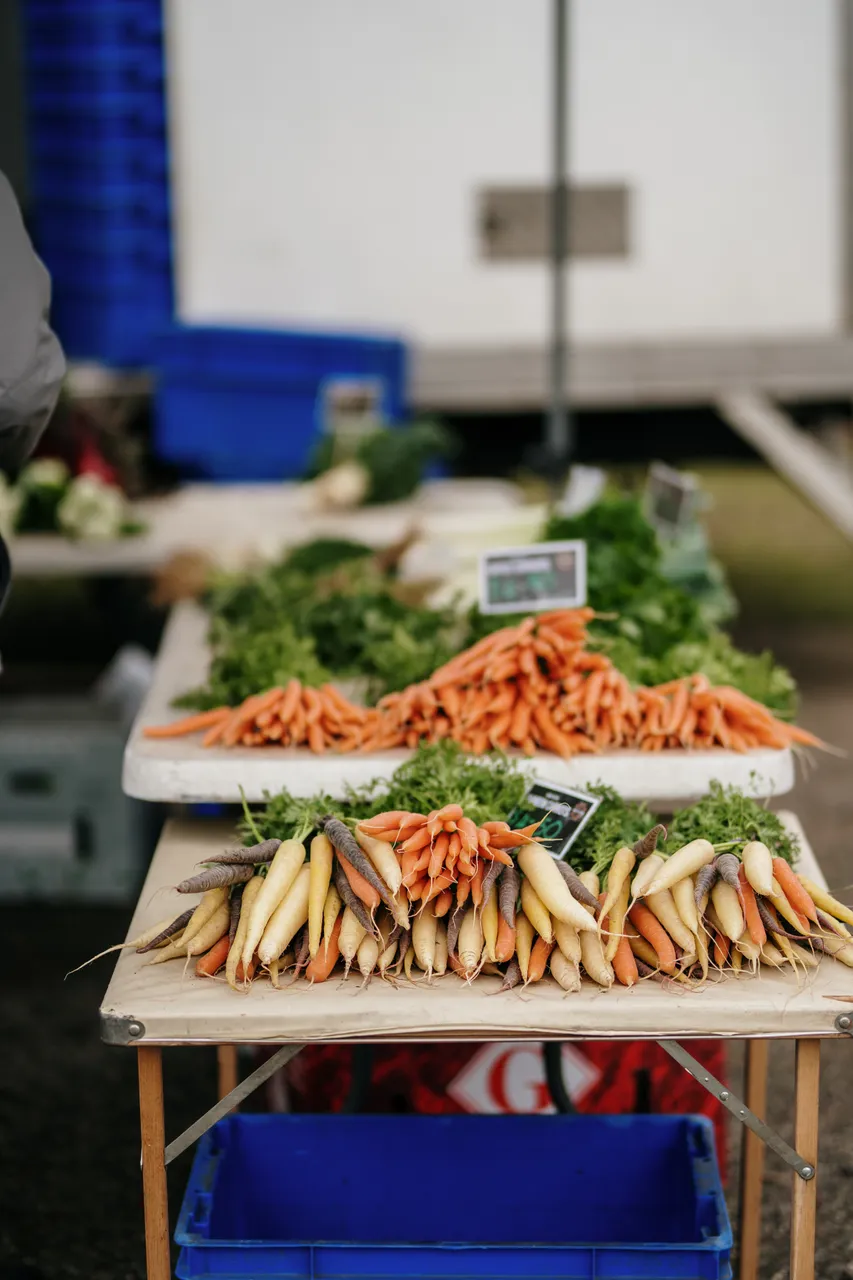 Evandale Market