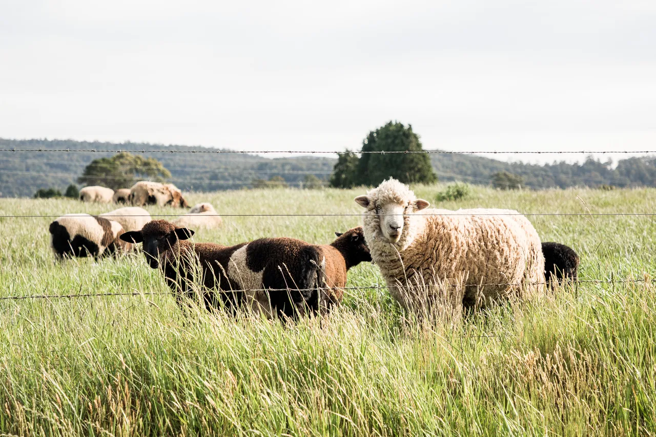 North West Agriculture