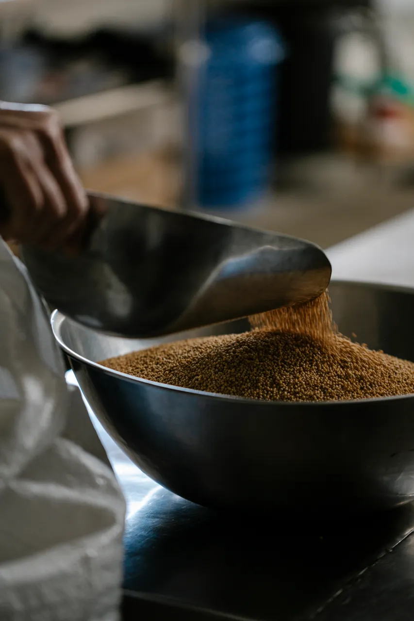 Mustard Seeds
