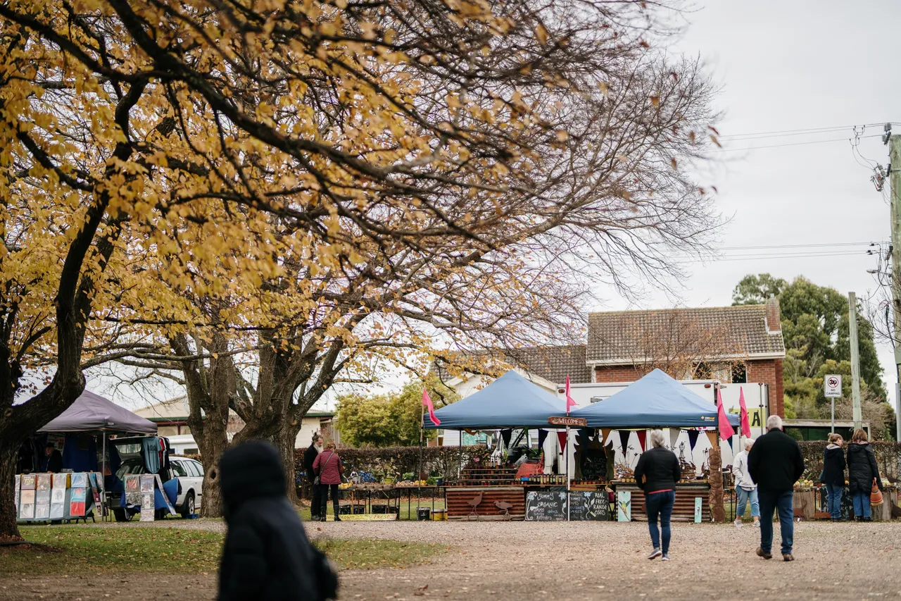 Evandale Market
