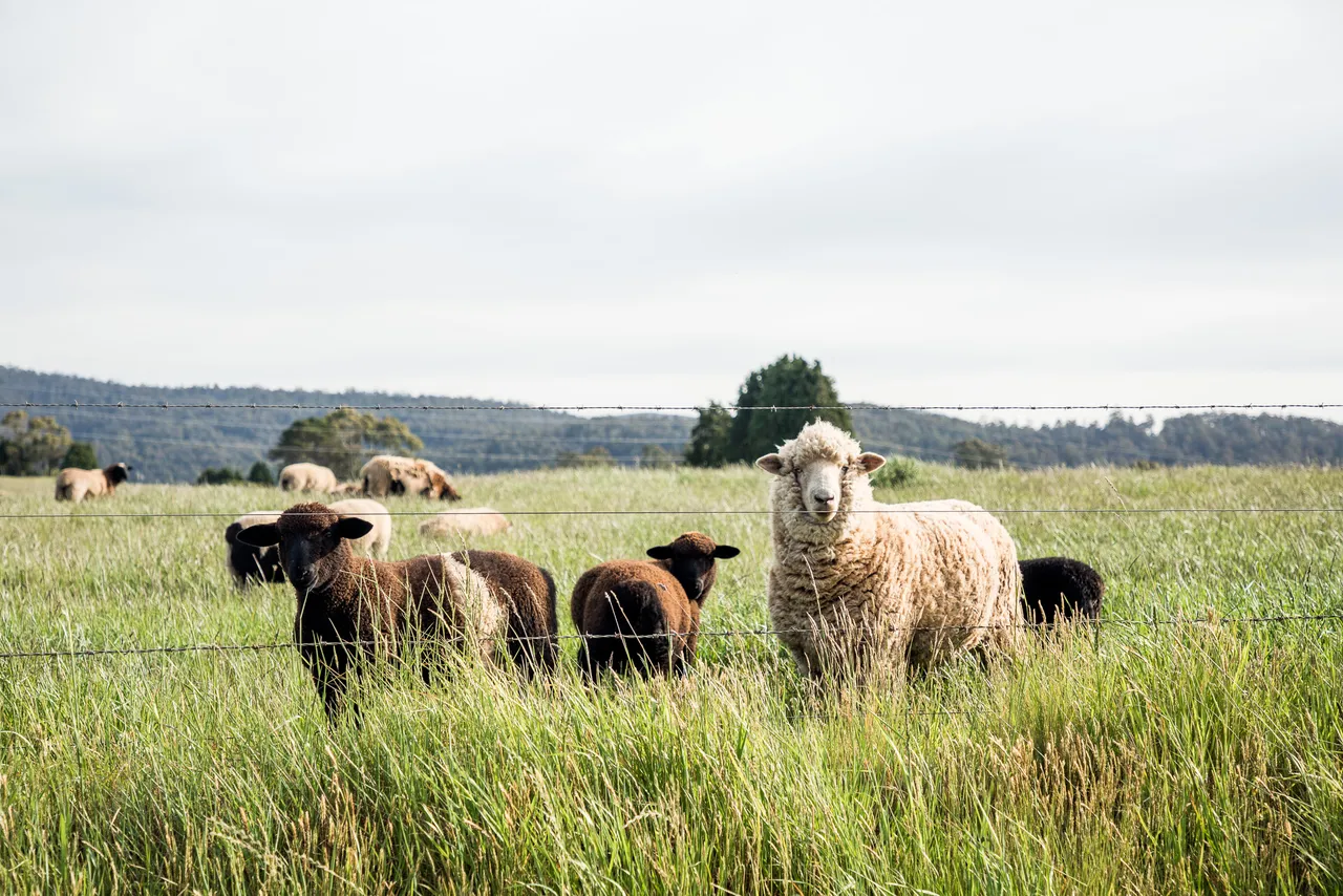 North West Agriculture