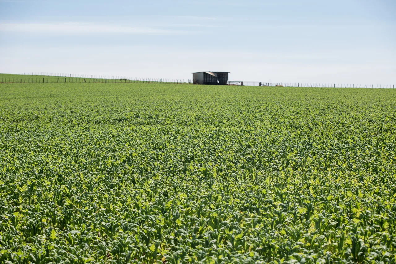 North West Agriculture