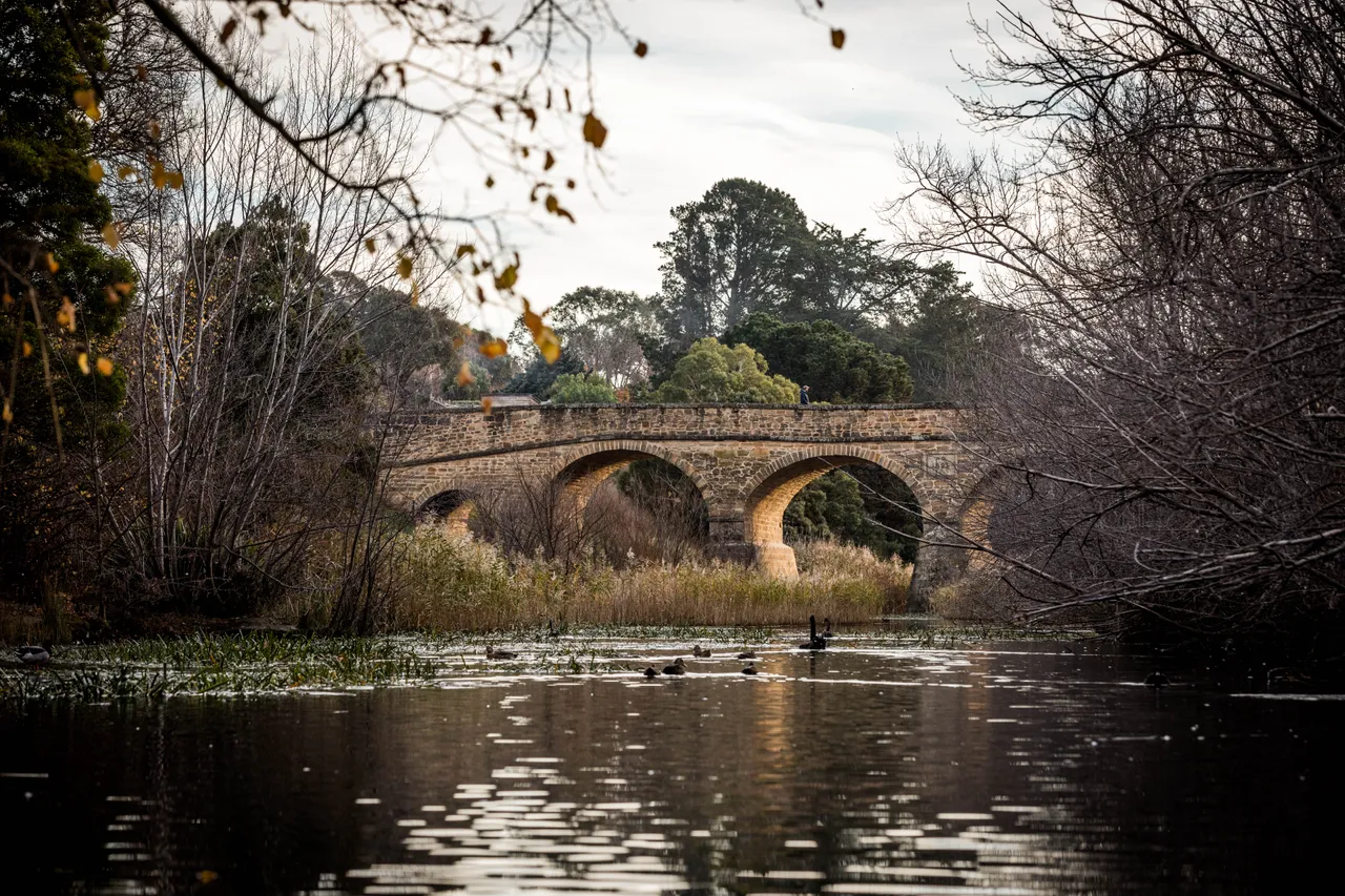 Richmond Bridge in Autumn