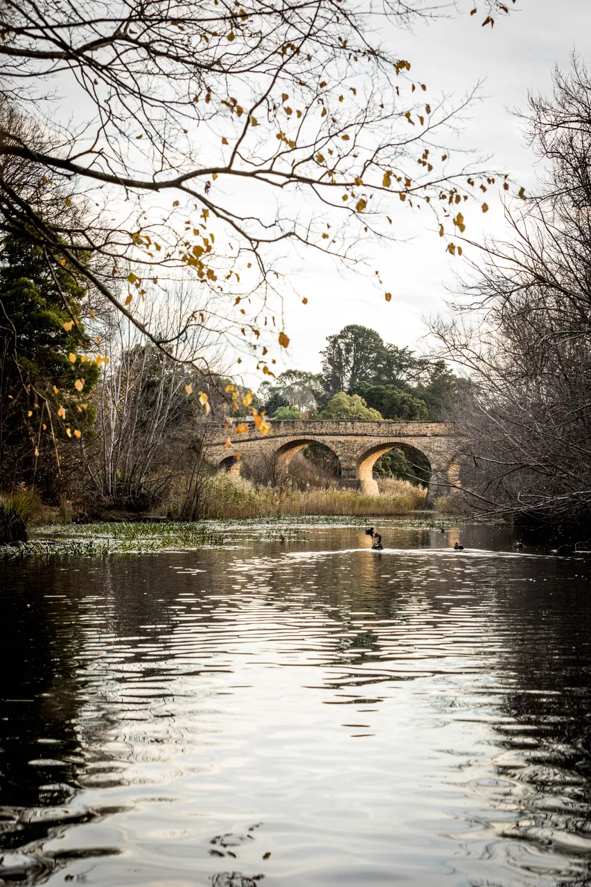 Richmond Bridge in Autumn
