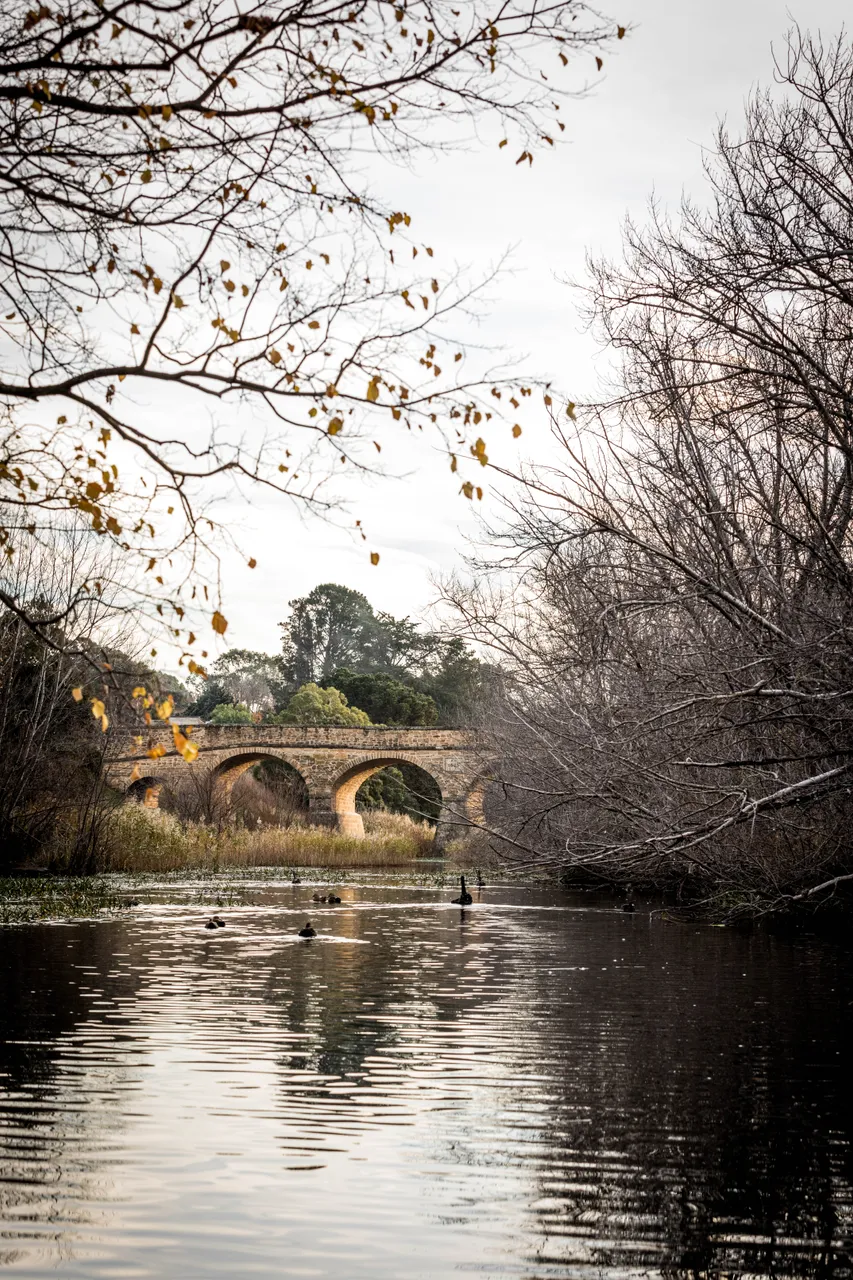 Richmond Bridge in Autumn