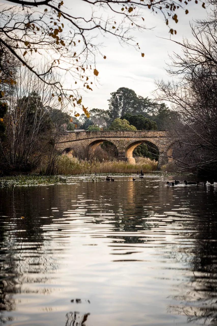 Richmond Bridge in Autumn