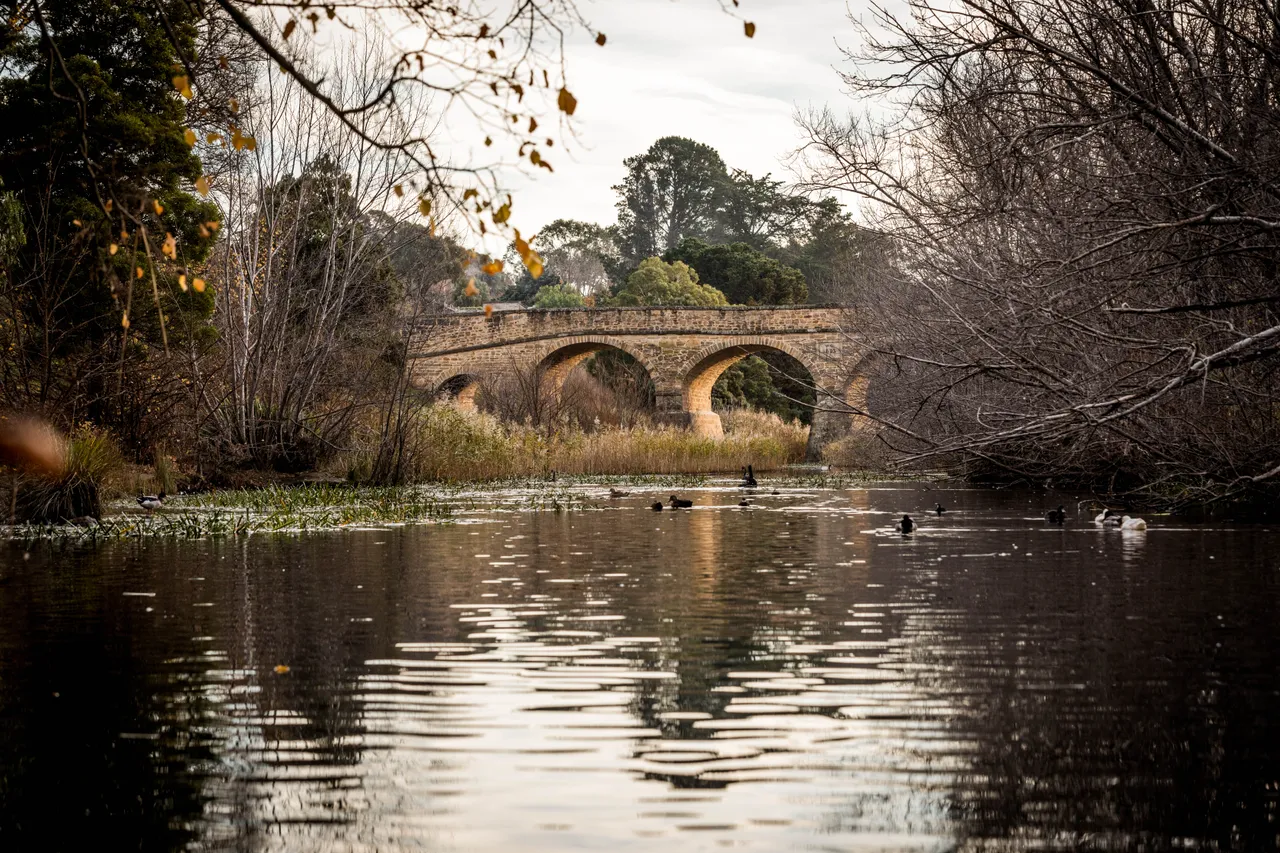 Richmond Bridge in Autumn