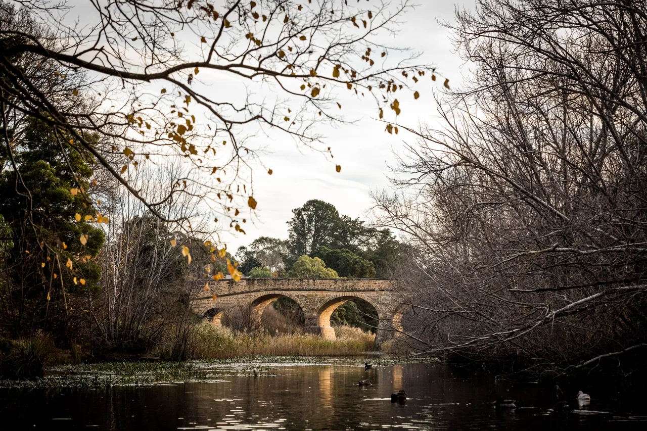 Richmond Bridge in Autumn