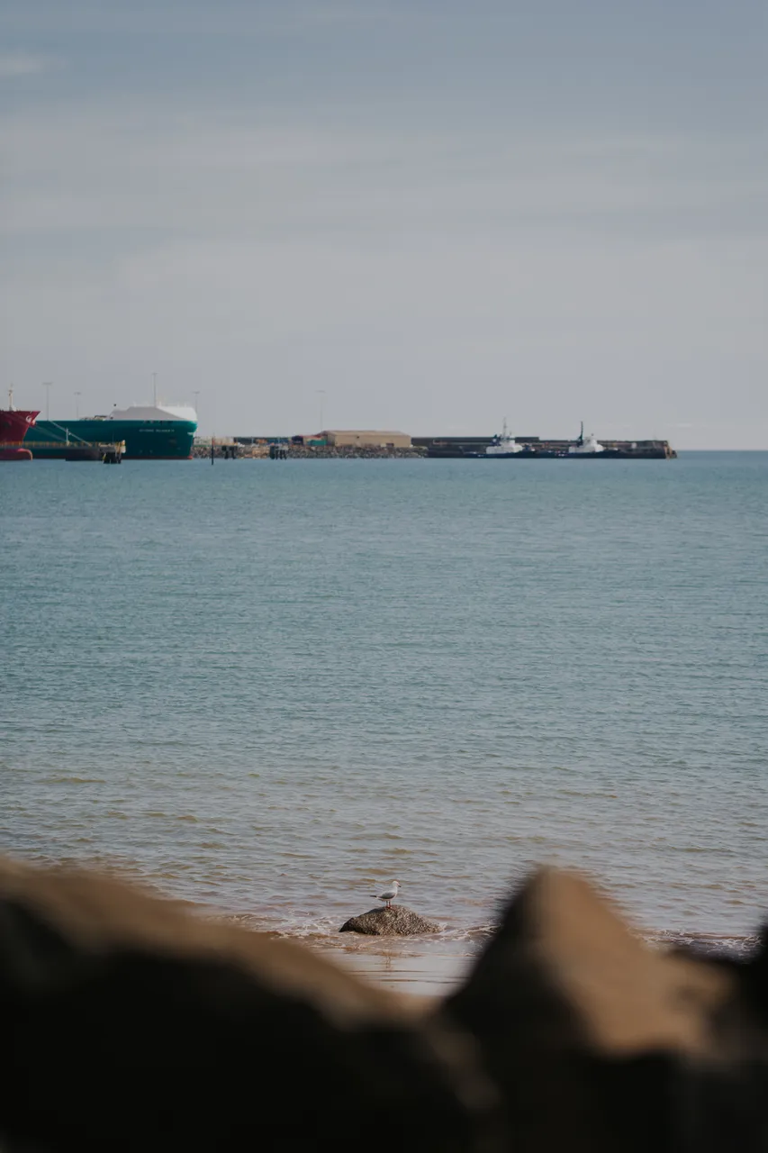 Burnie Port