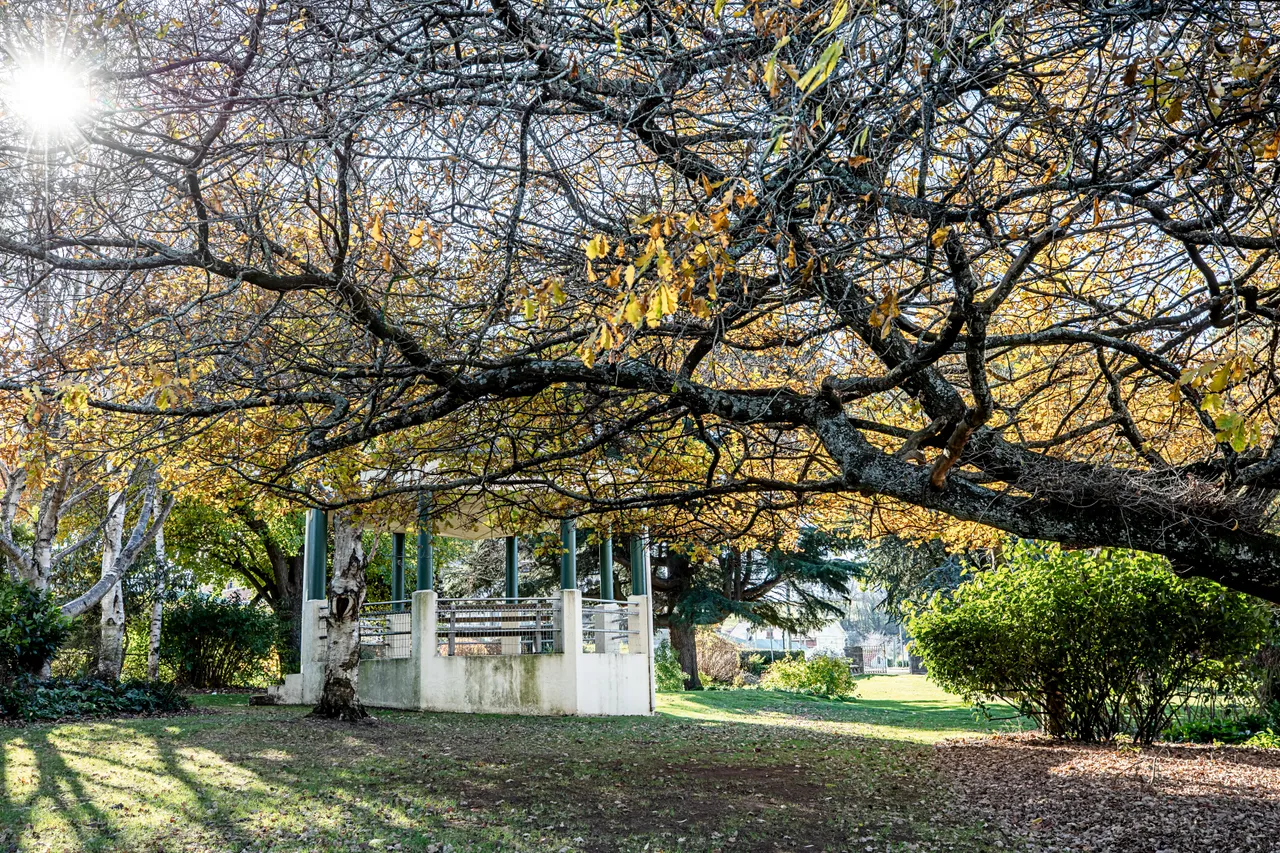 Deloraine in Autumn