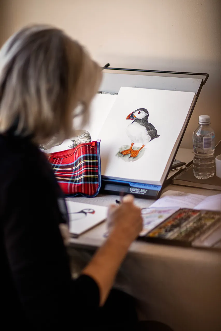 Deloraine Creative Studios