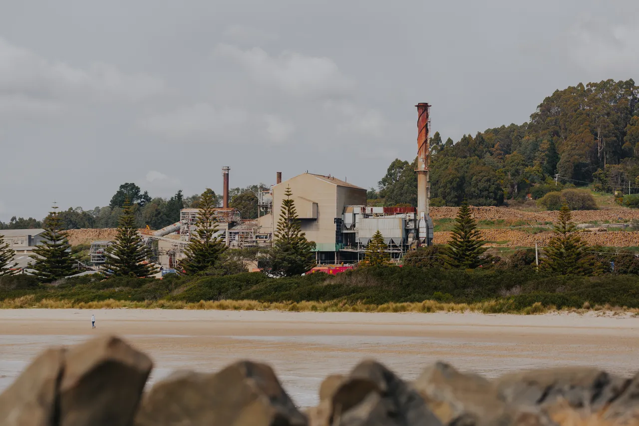 Burnie Port