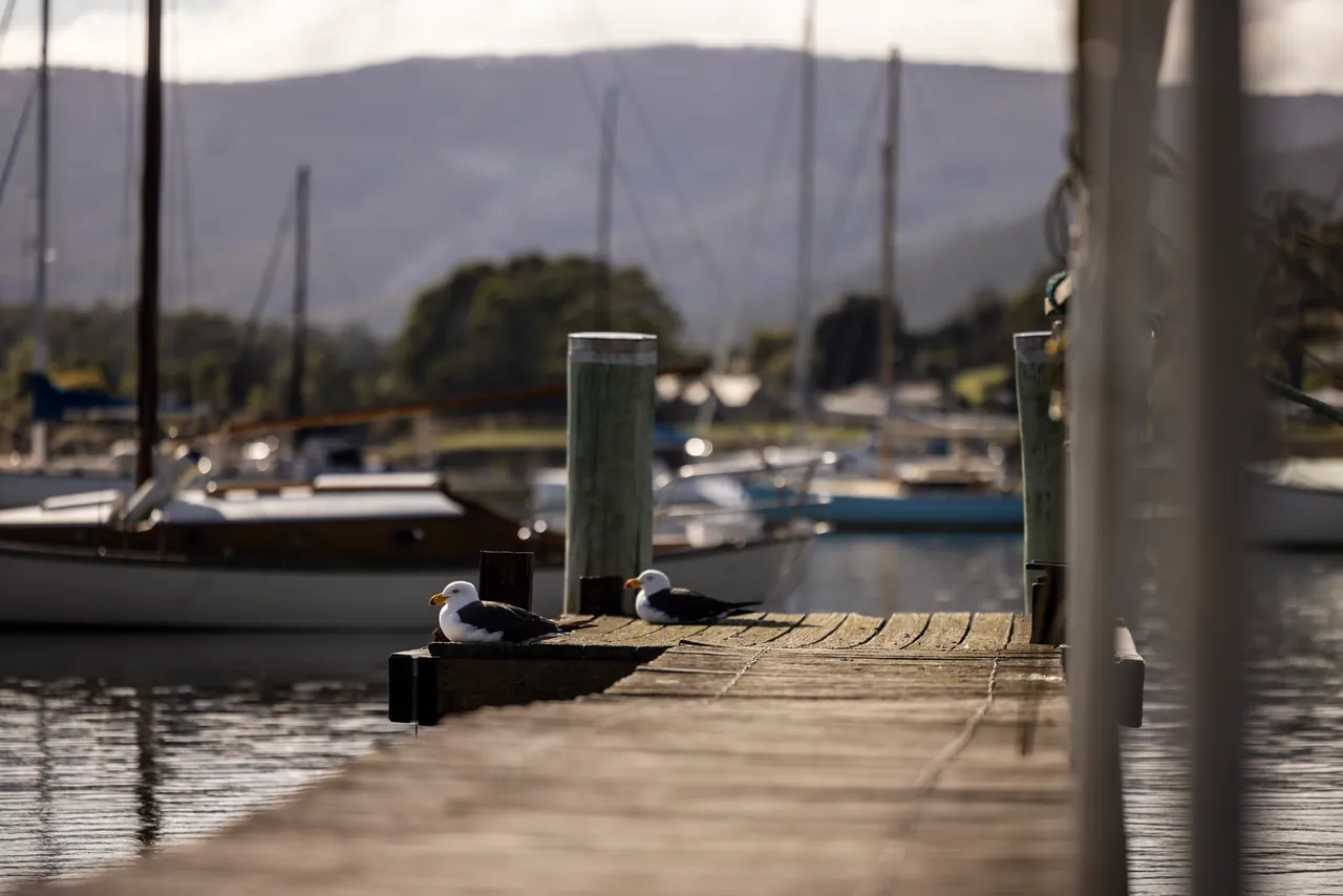 Matt & Iefke, Wooden Boat Builders
