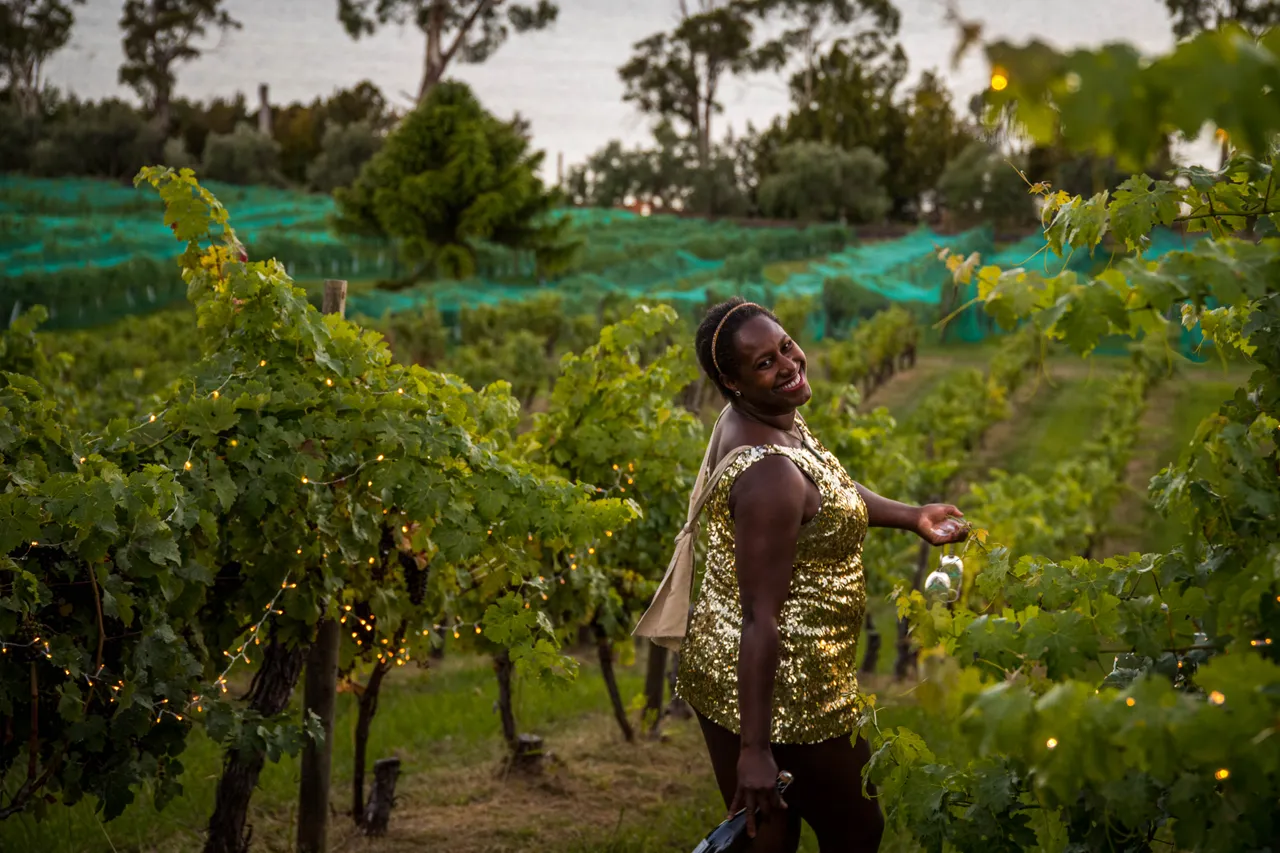 Curly Haslam-Coates, Wine Educator