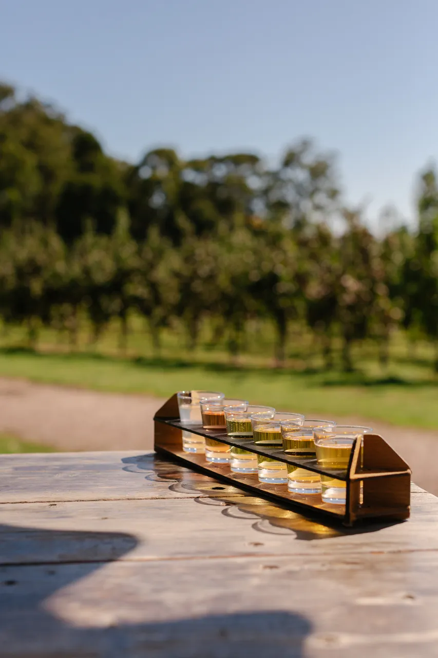 Cider Tasting
