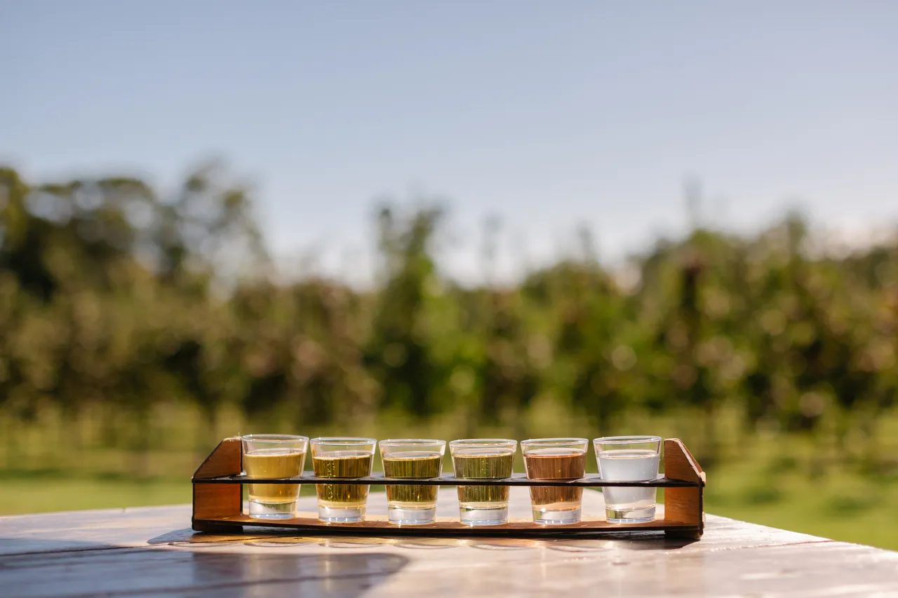 Cider Tasting