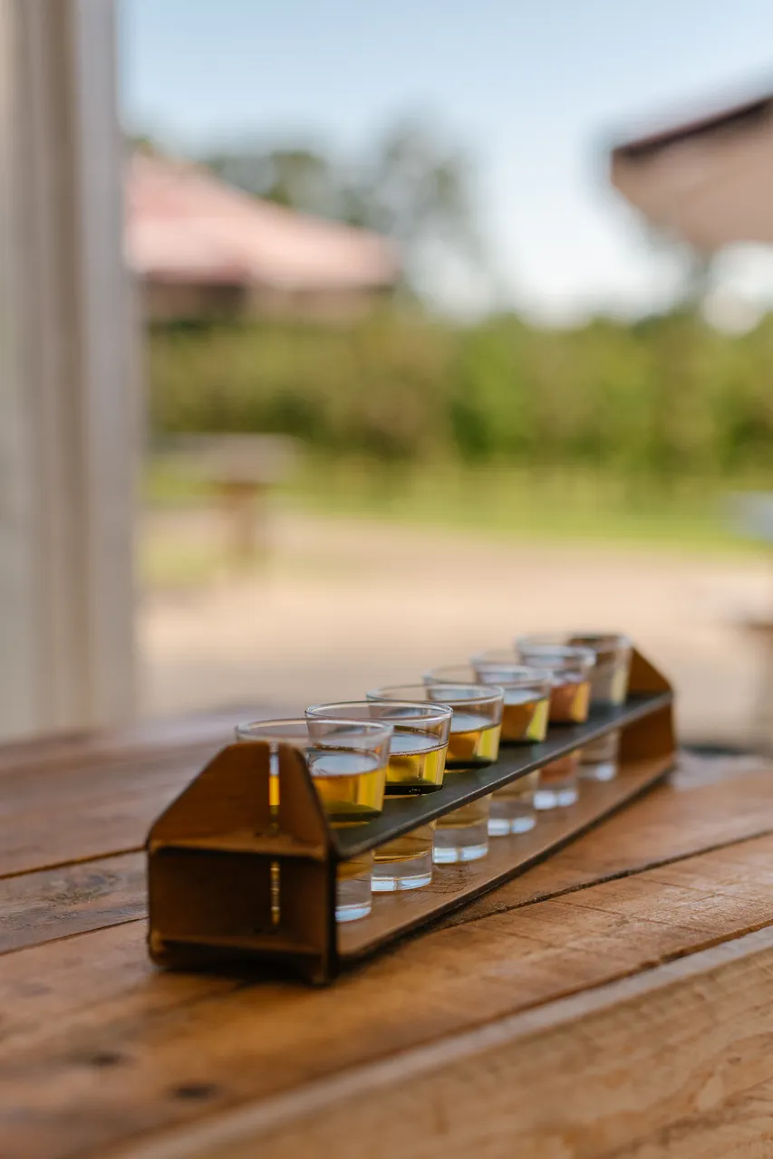 Cider Tasting