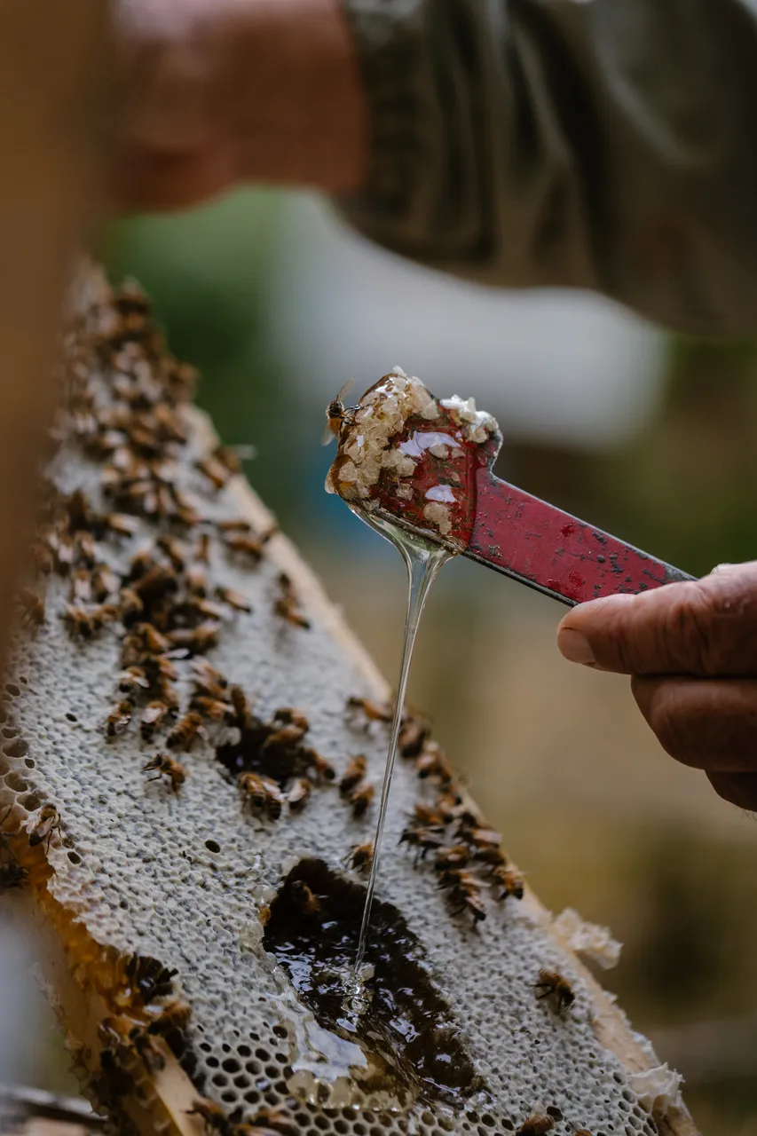 Beekeeping