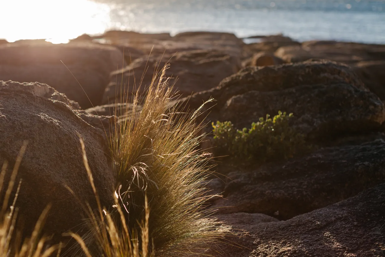 Coles Bay Coast