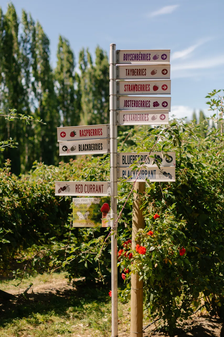 Westerway Berry Farm
