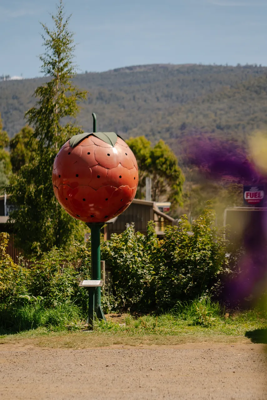 Westerway Berry Farm