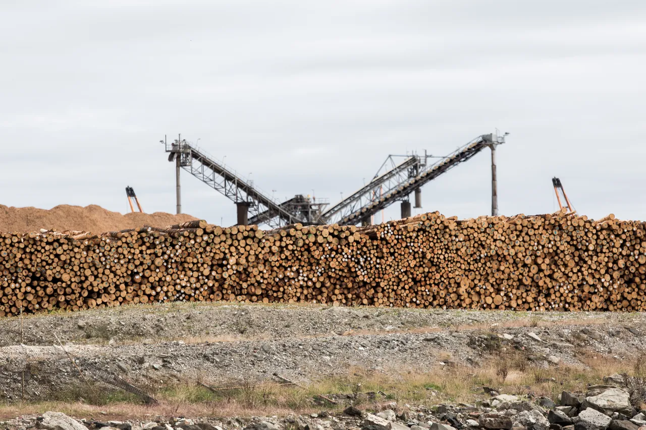 Burnie Port