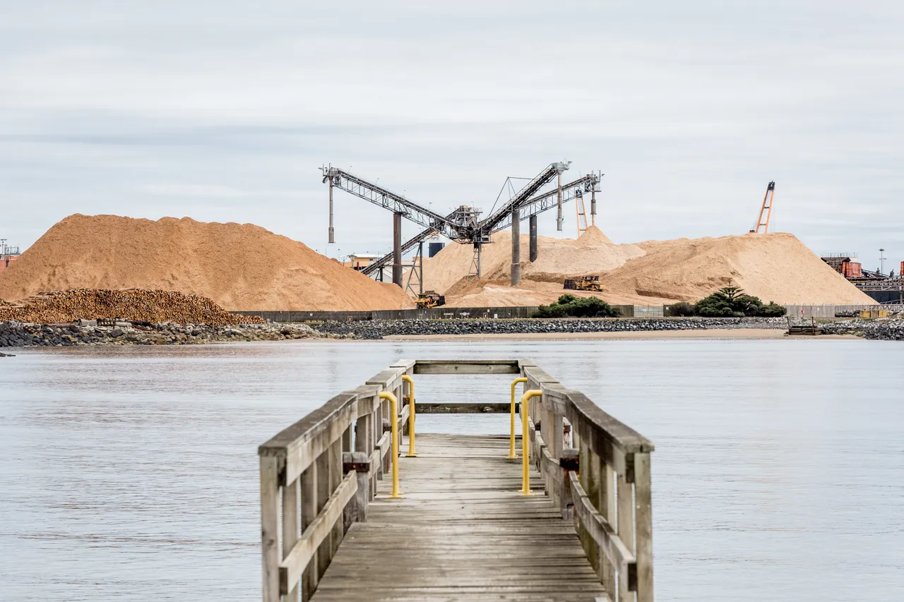 Burnie Port