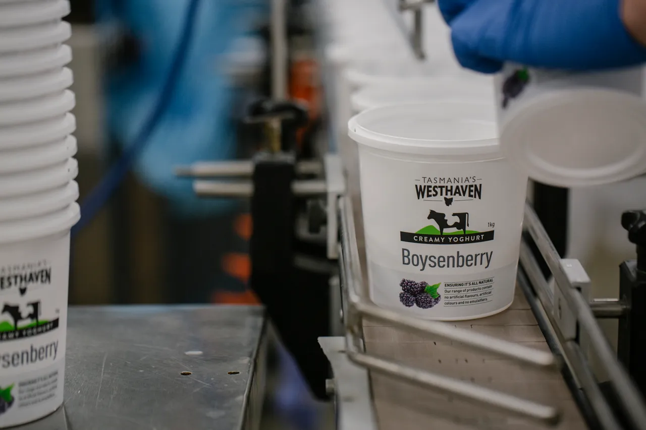 Westhaven Dairy