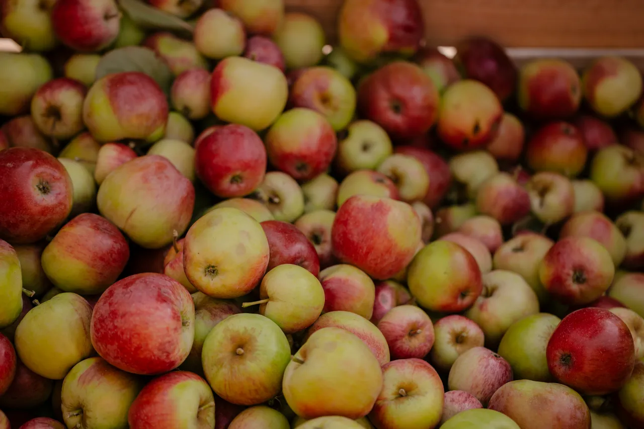 Cider Apples