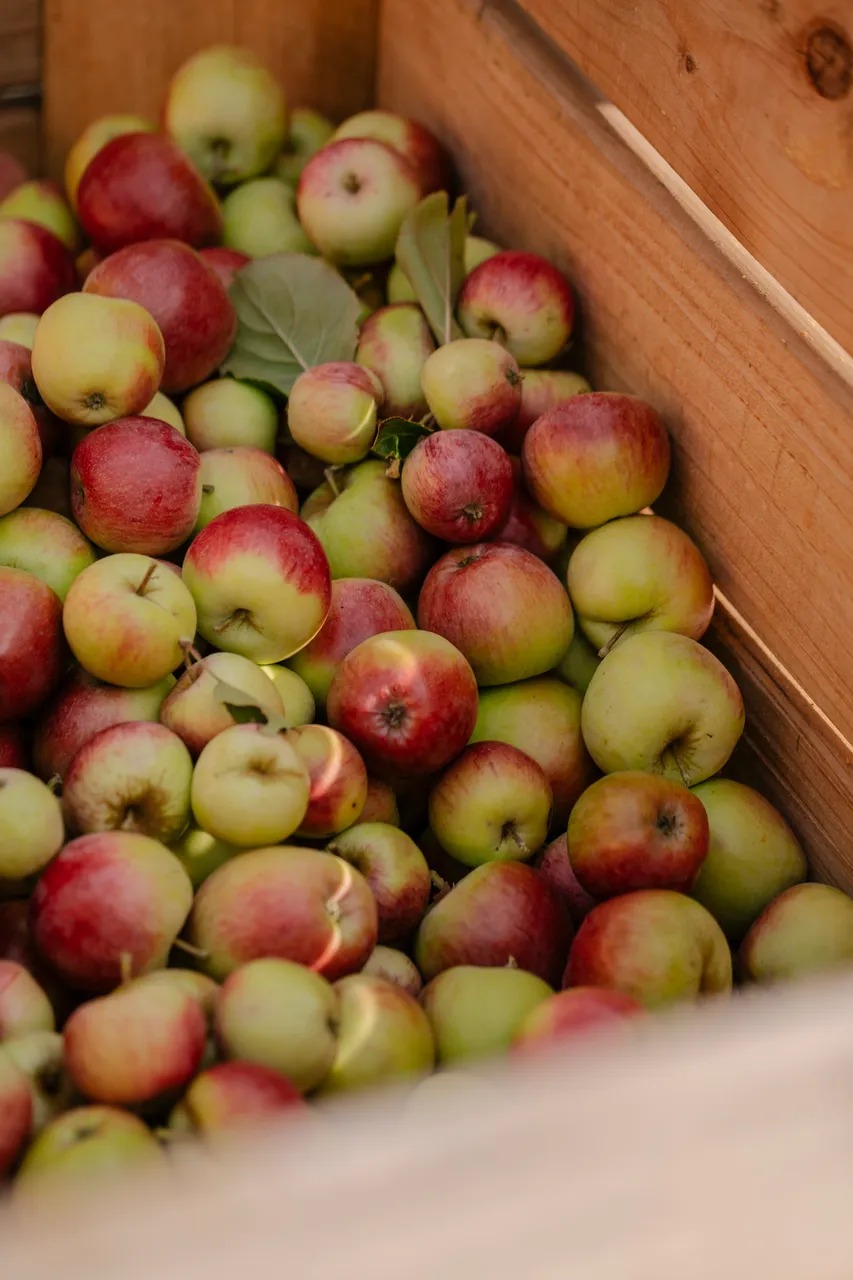 Cider Apples