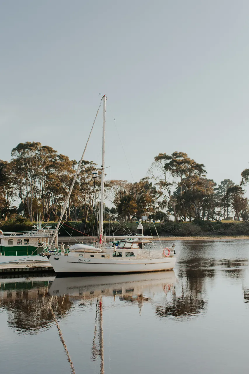 Wynyard