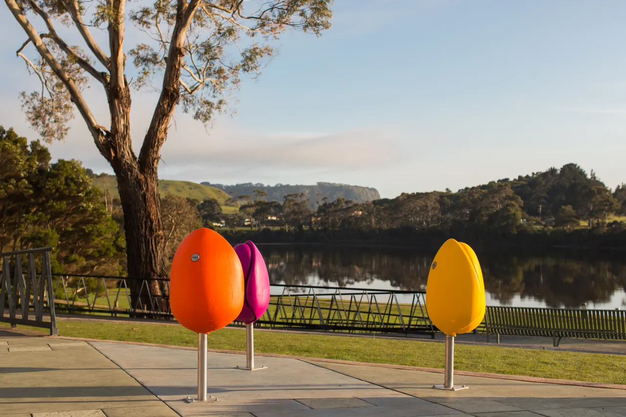 Wynyard Tulips