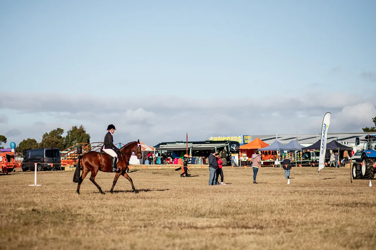 Campbell Town Show