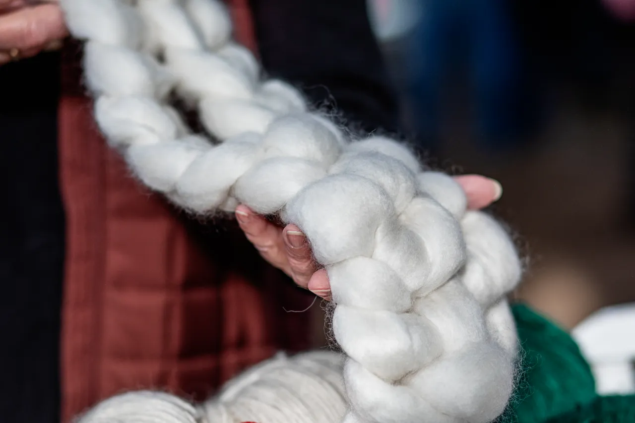 Campbell Town Show