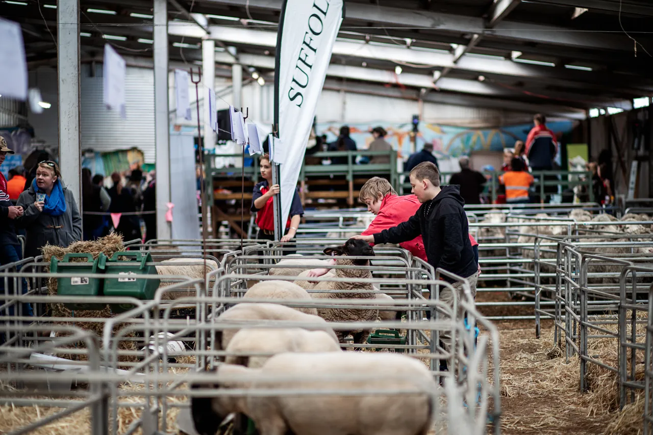 Campbell Town Show