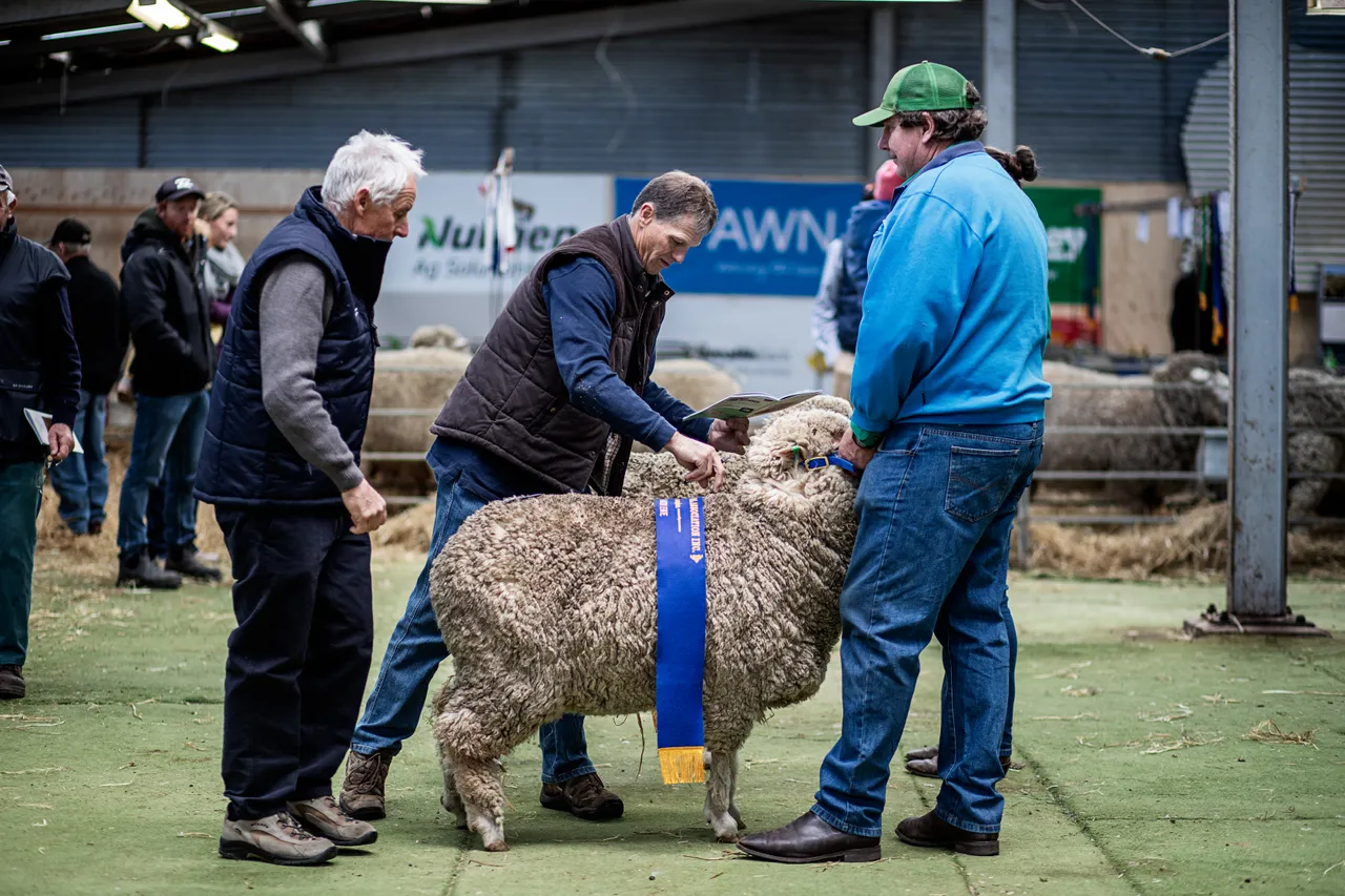 Campbell Town Show