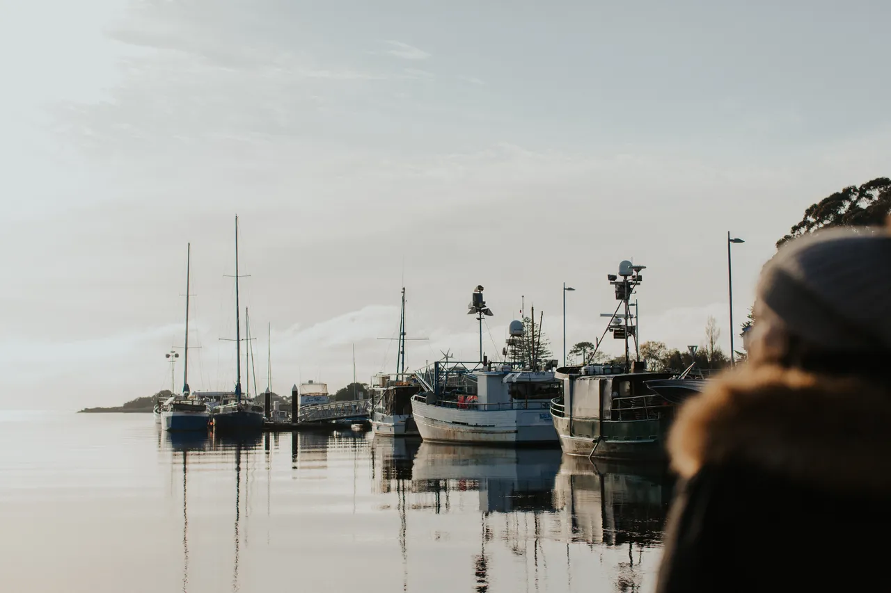 Wynyard Foreshore
