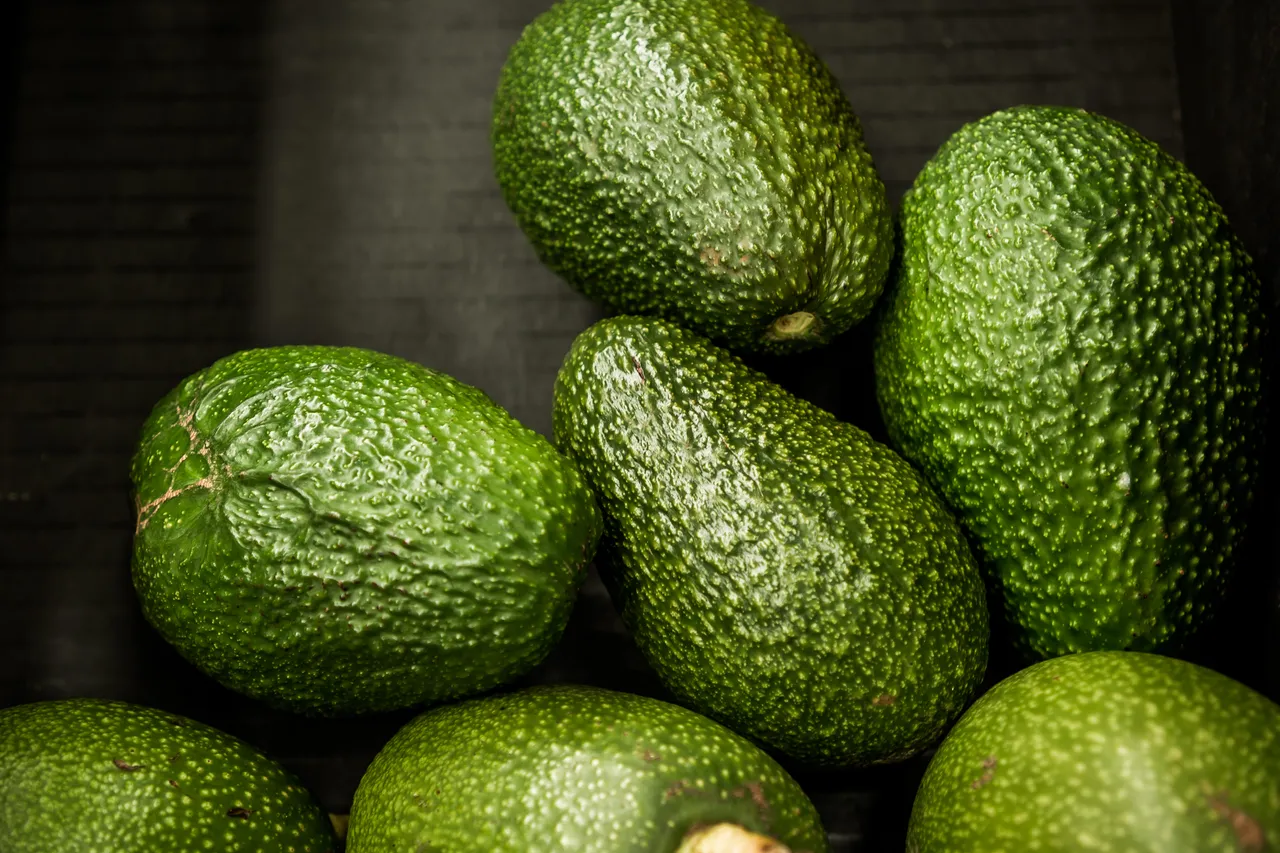 Avoland Avocados