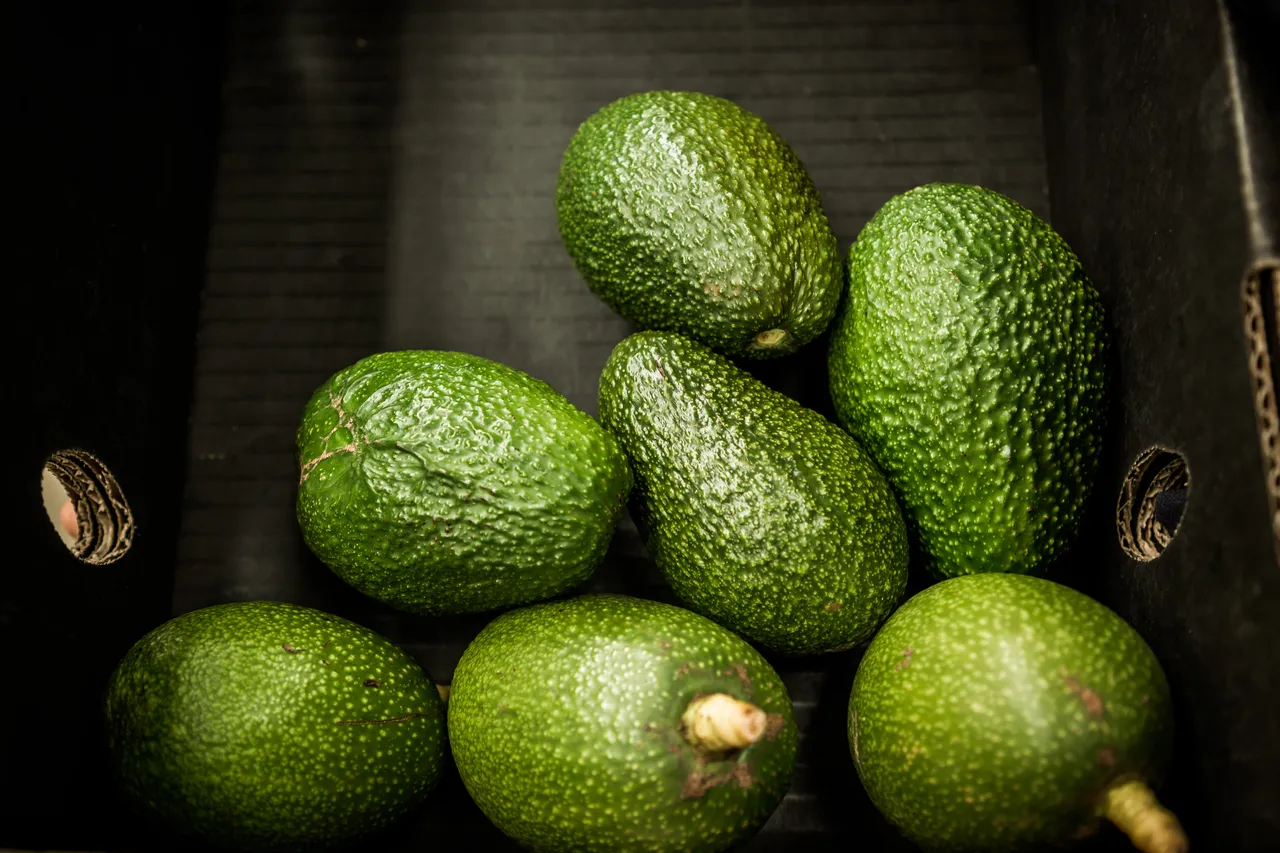 Avoland Avocados