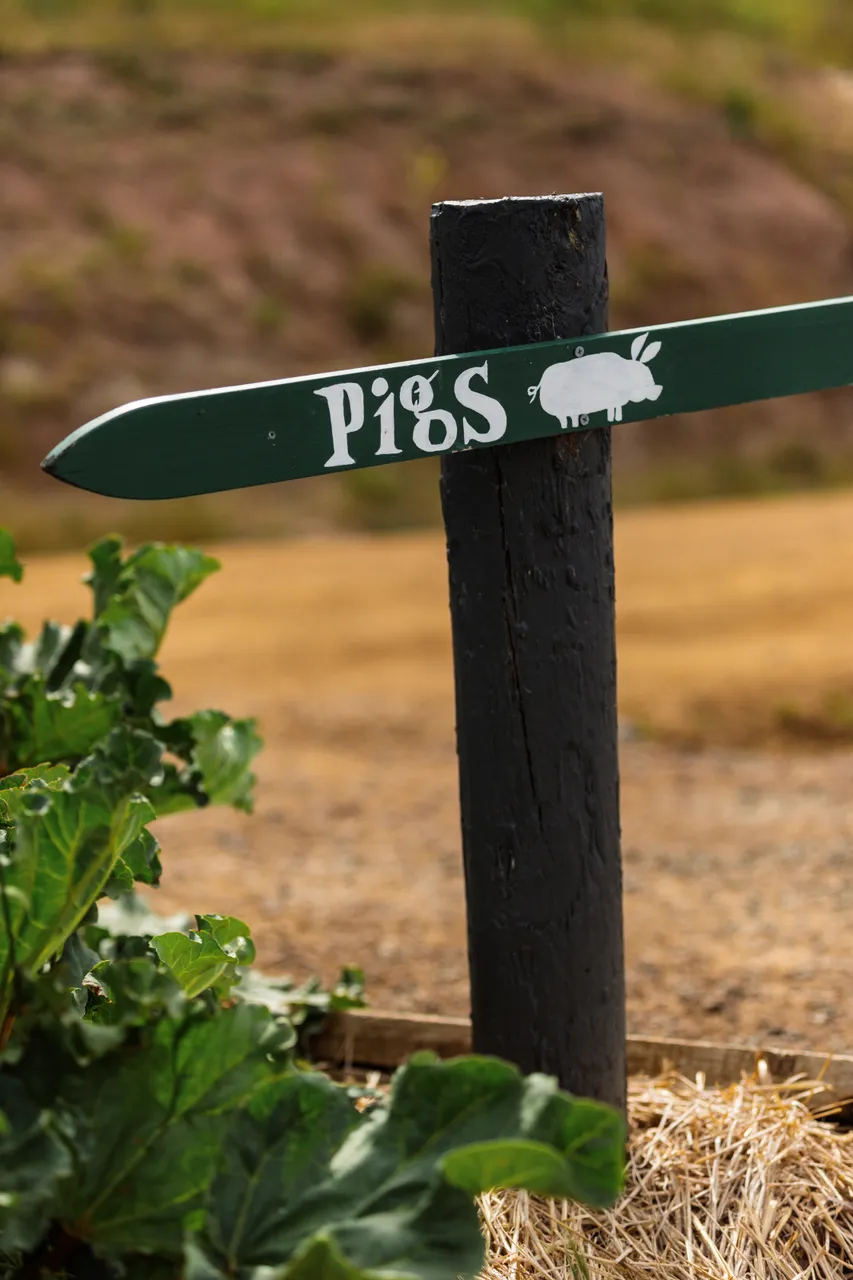 Signage