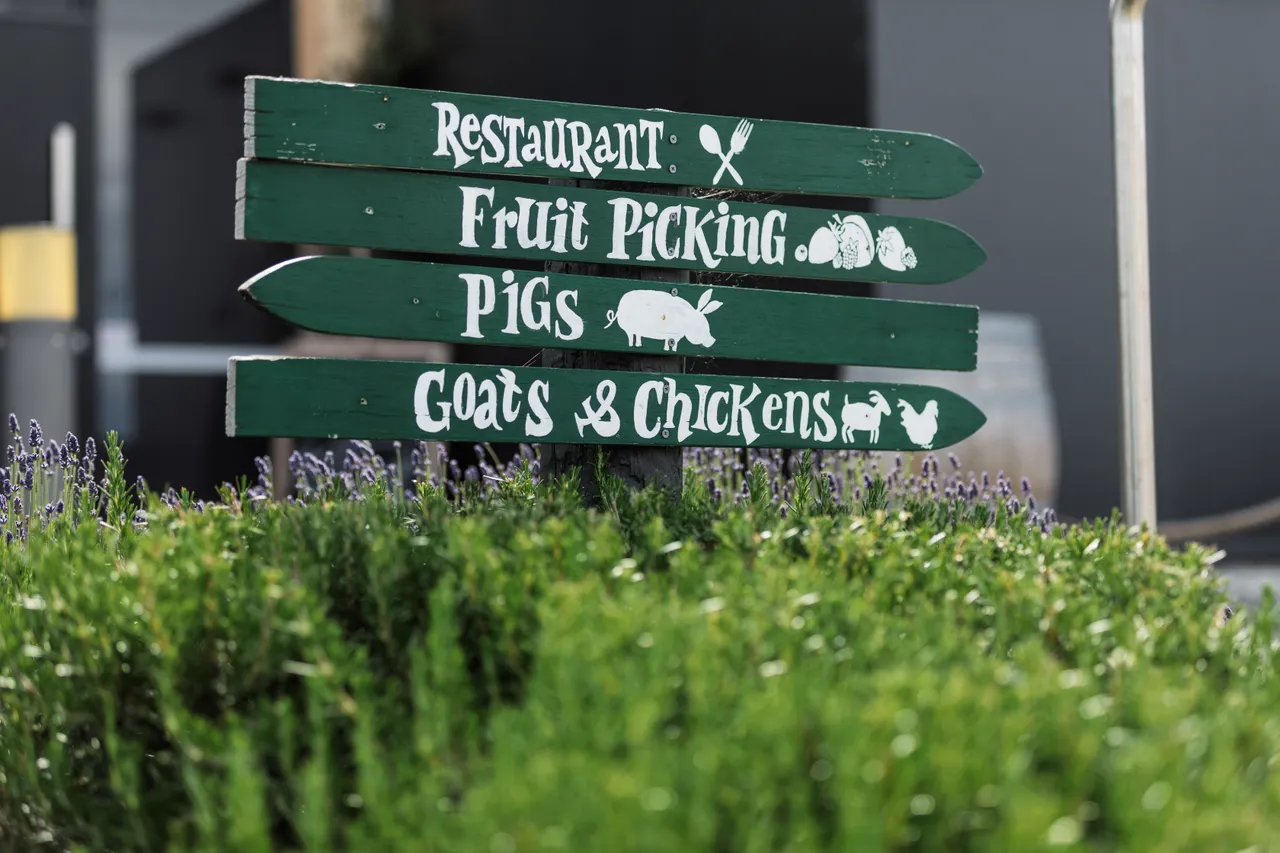Signage