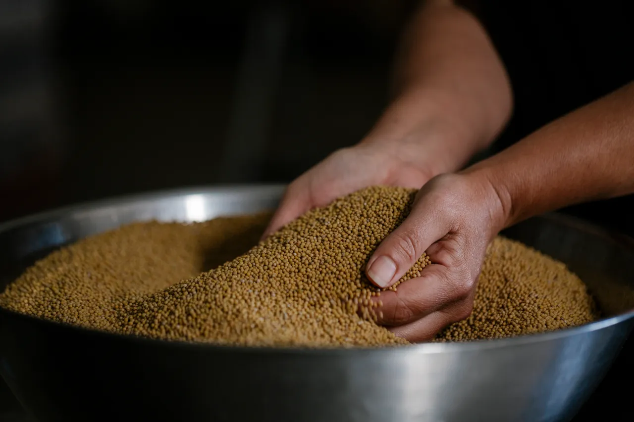 Mustard Seeds