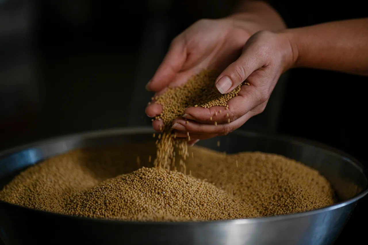 Mustard Seeds