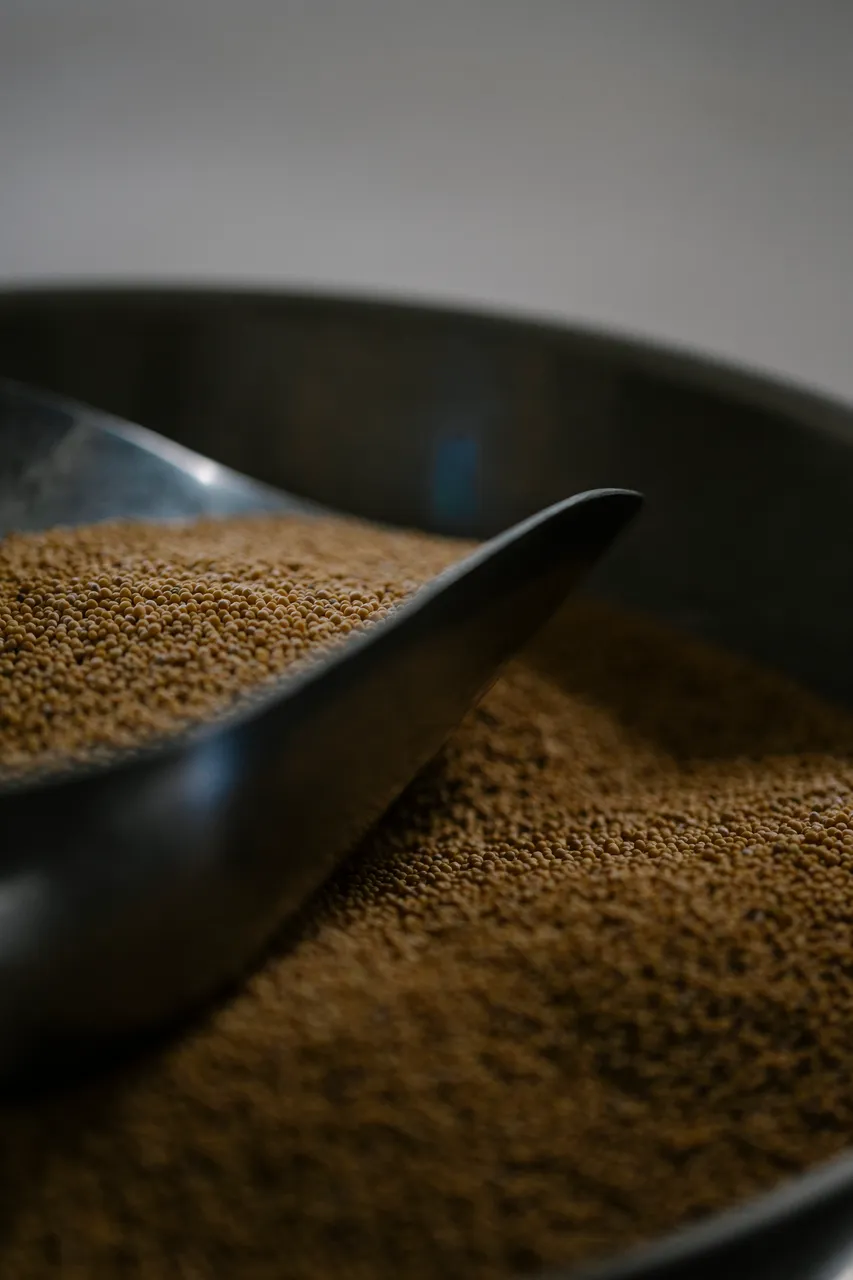 Mustard Seeds